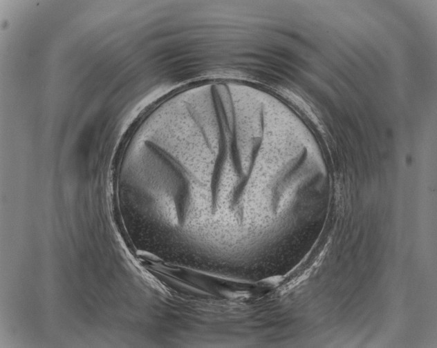 X0000087051133200705091129