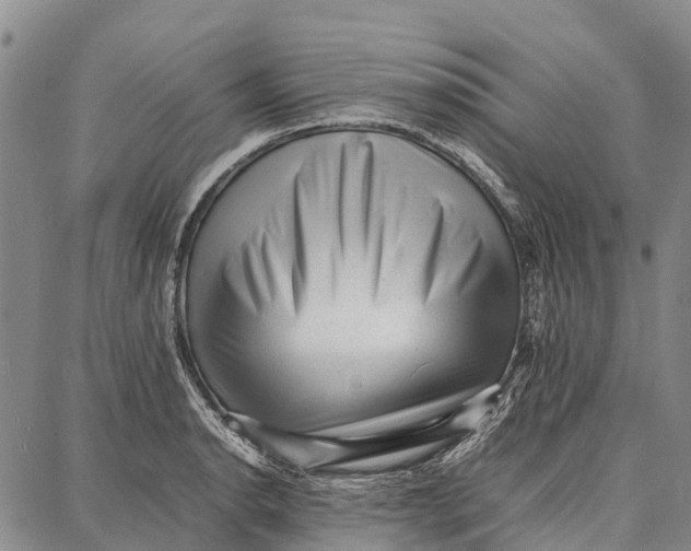 X0000087051134200705091129