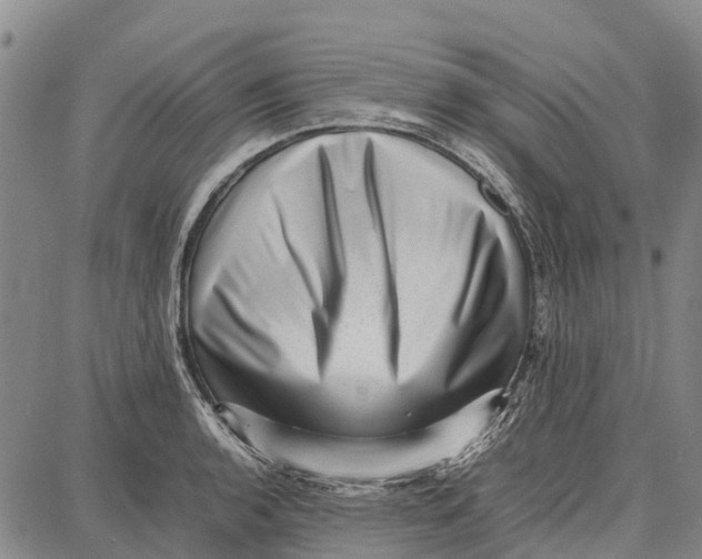 X0000087051136200705091129