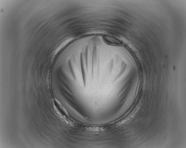 X0000087051137200705091129