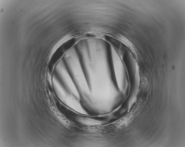 X0000087051138200705091129