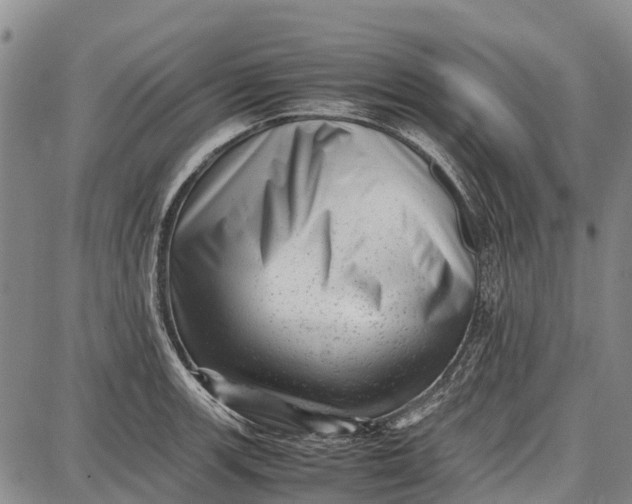 X0000087051139200705091129