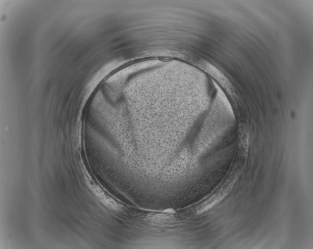 X0000087051140200705091129