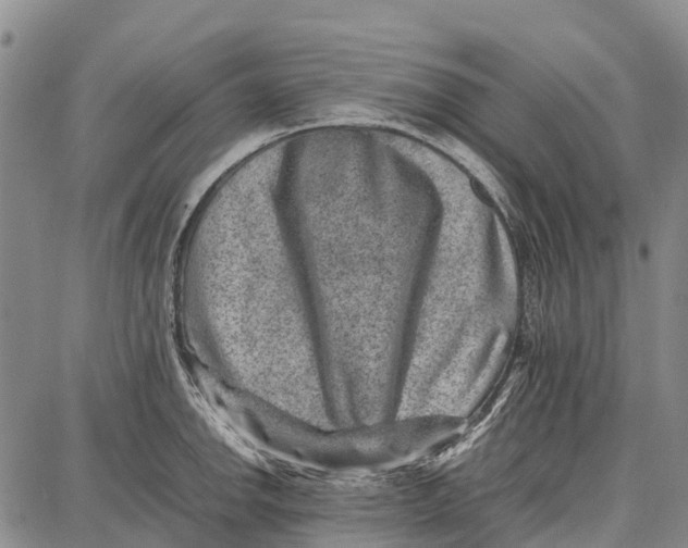 X0000087051142200705091129