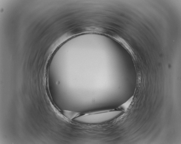 X0000087051143200705091129