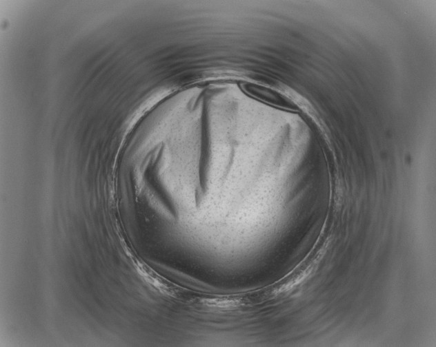 X0000087051145200705091129