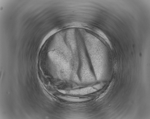 X0000087051146200705091129