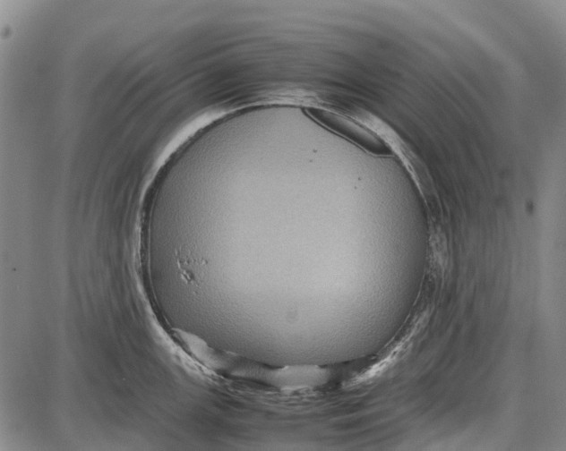 X0000087051147200705091129