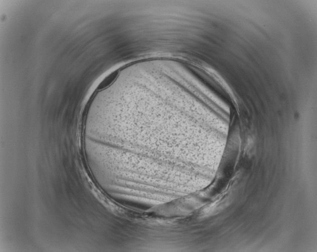 X0000087051148200705091129