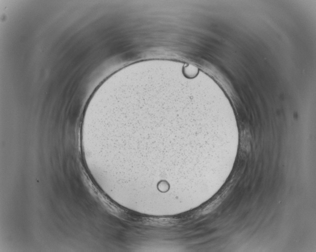 X0000087051150200705091129