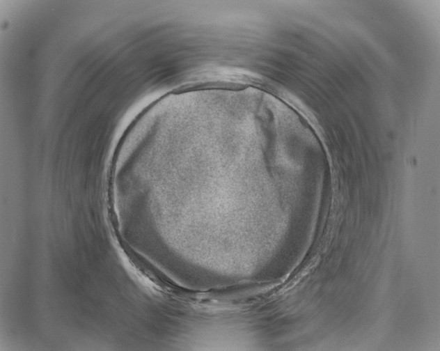 X0000087051152200705091129