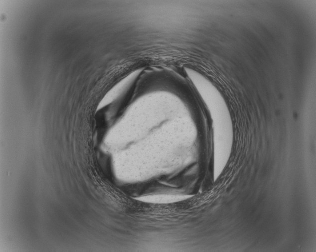 X0000087051153200705091128