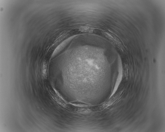 X0000087051154200705091128