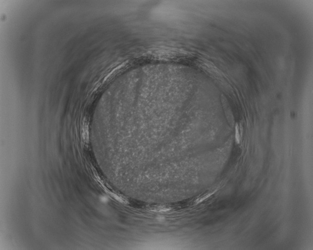 X0000087051155200705091128