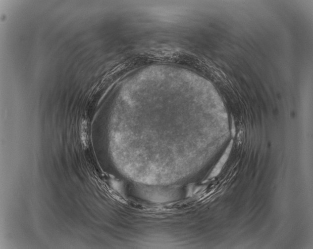 X0000087051156200705091128