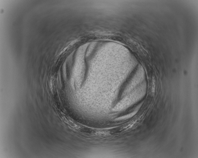 X0000087051157200705091128