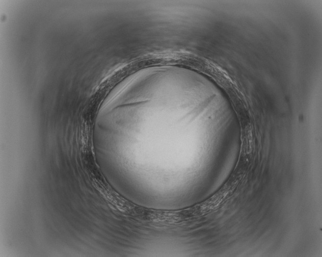 X0000087051158200705091128