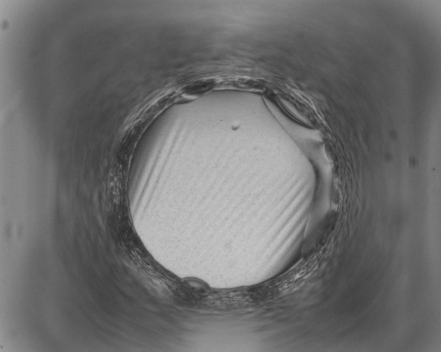 X0000087051159200705091128