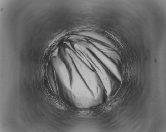 X0000087051160200705091128