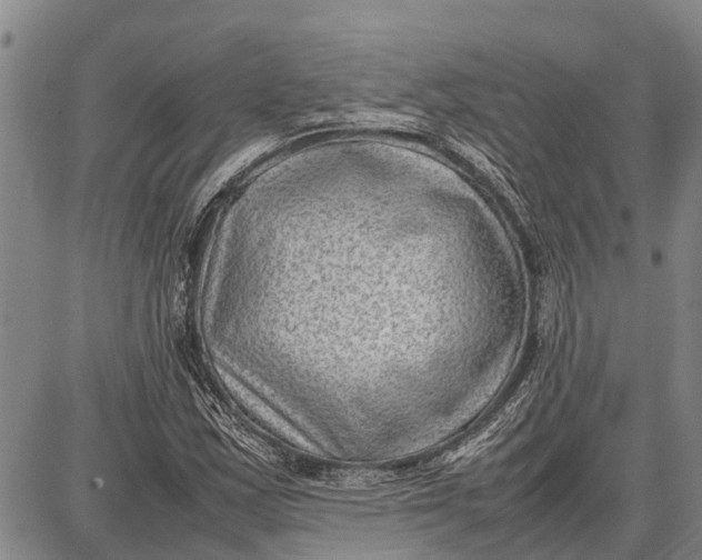 X0000087051163200705091128