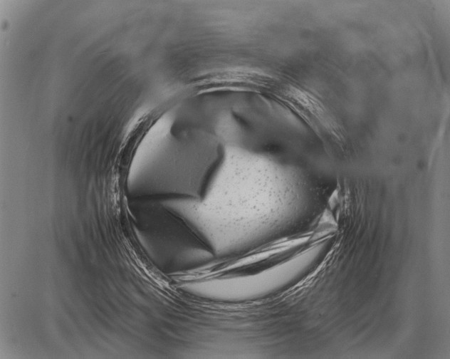 X0000087051164200705091128