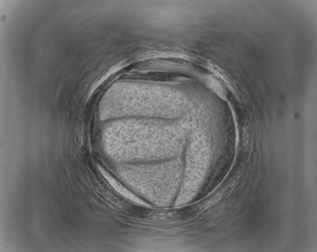 X0000087051165200705091128