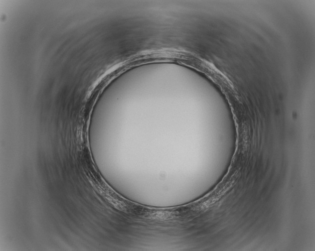 X0000087051166200705091128