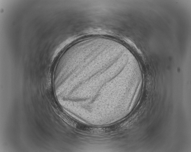 X0000087051167200705091128