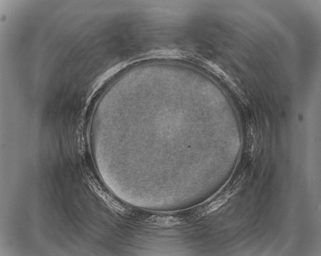 X0000087051168200705091128