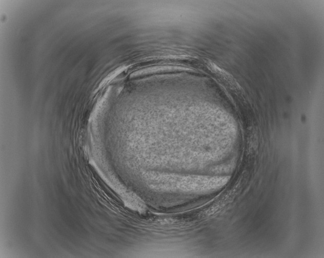 X0000087051169200705091128