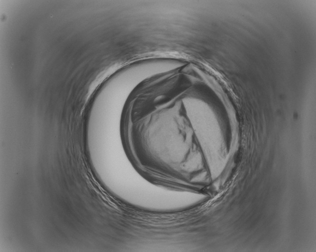 X0000087051171200705091128