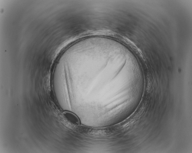 X0000087051174200705091128