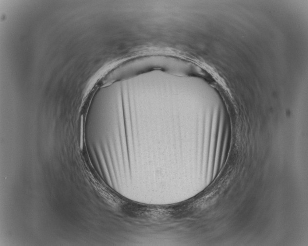 X0000087051175200705091128