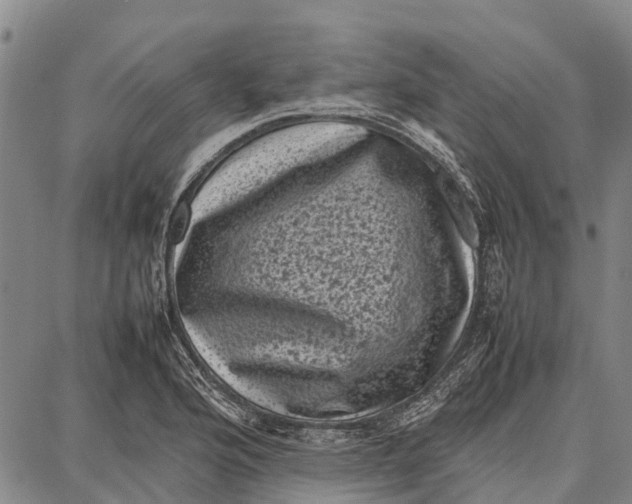 X0000087051176200705091128