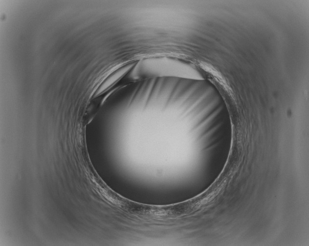 X0000087051177200705091128