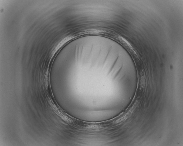 X0000087051178200705091128