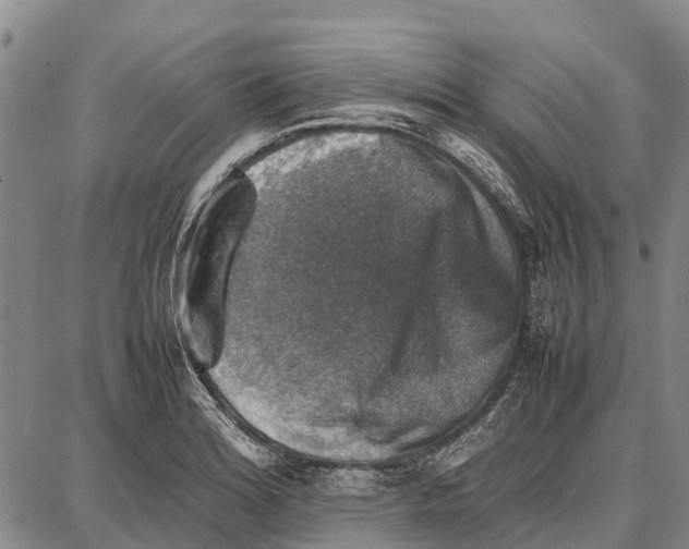 X0000087051180200705091128