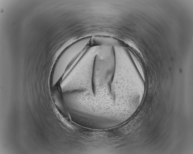 X0000087051181200705091128