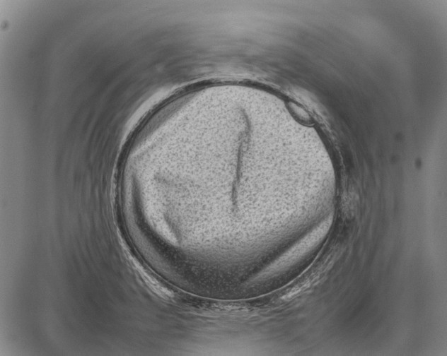 X0000087051183200705091128