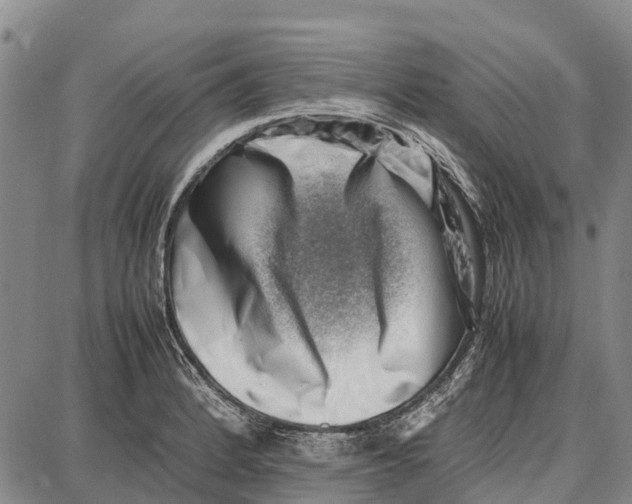 X0000087051184200705091128