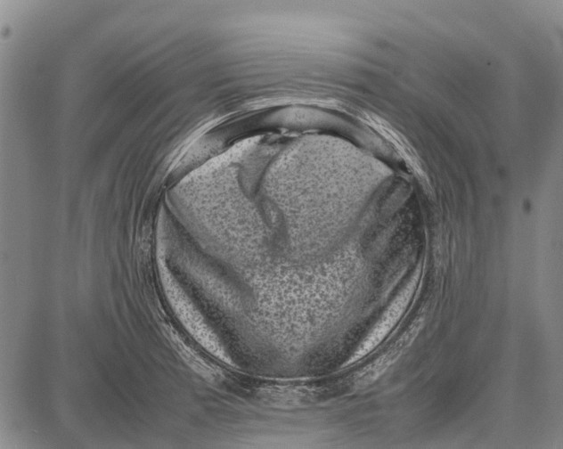 X0000087051185200705091128