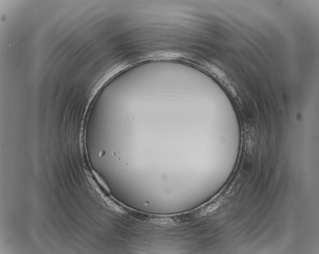 X0000087051186200705091128