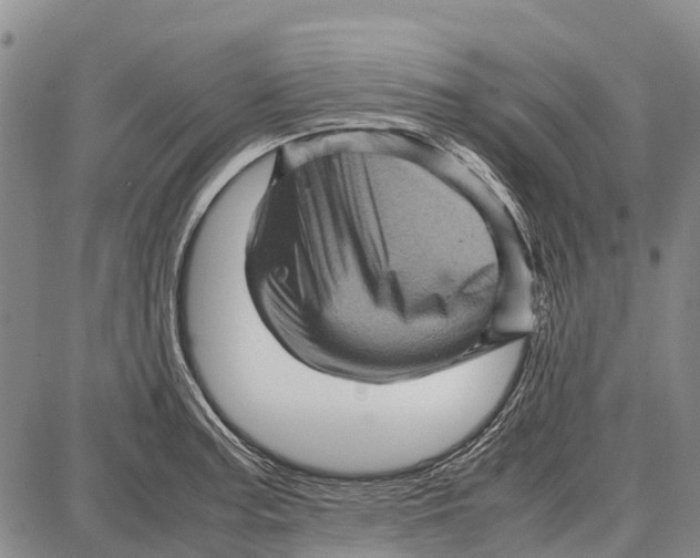 X0000087051187200705091128