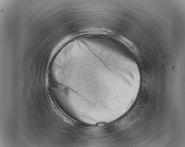 X0000087051188200705091128