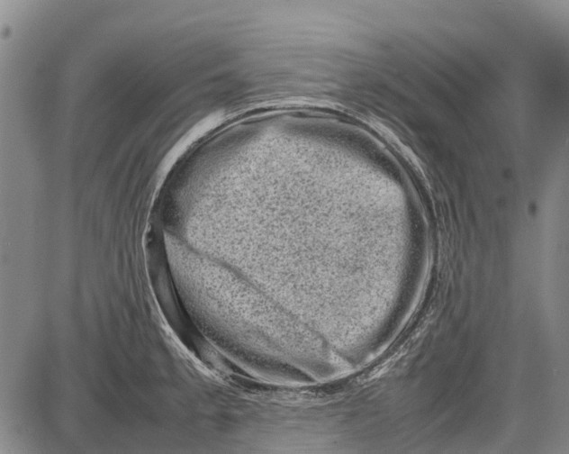 X0000087051189200705091128