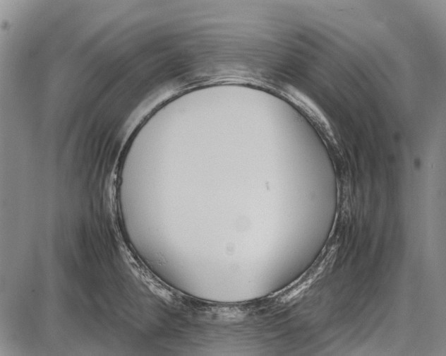 X0000087051190200705091128