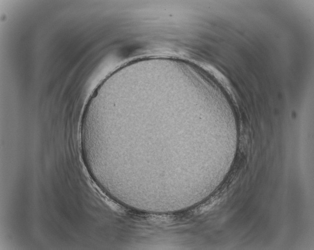 X0000087051191200705091128