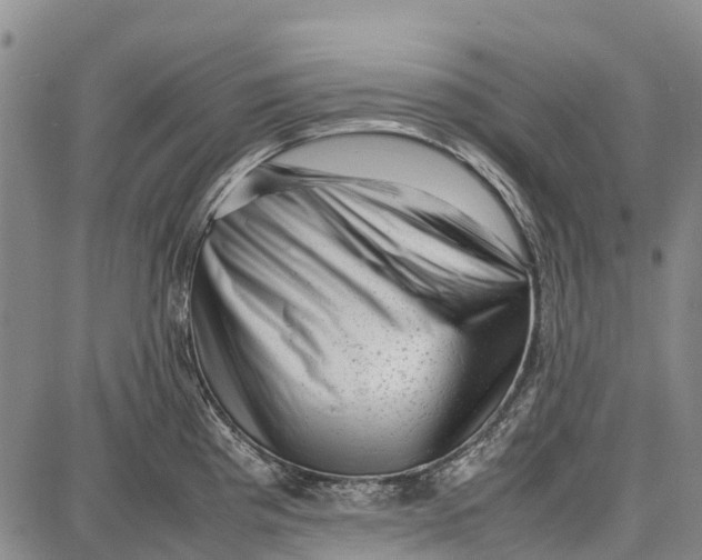 X0000087051193200705091128