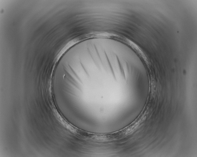 X0000087051194200705091128