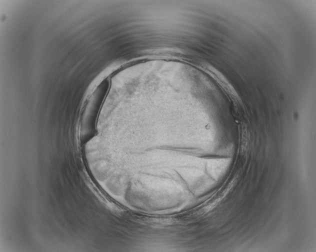 X0000087051196200705091128